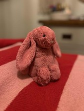Jellycat small cerise for sale  DEREHAM
