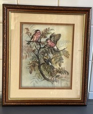 Finches amongst foliage for sale  CLACTON-ON-SEA