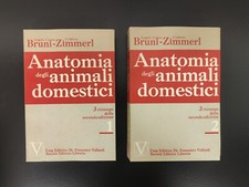 Anatomia degli animali usato  Cusano Milanino