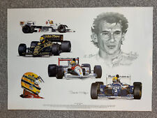 Tribute ayrton senna for sale  CHELMSFORD