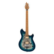 Evh wolfgang special gebraucht kaufen  Köln