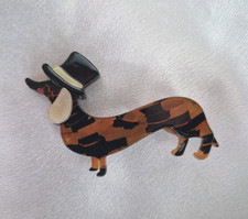 Dachshund sausage dog for sale  PUDSEY