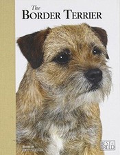 Border terrier best for sale  ROSSENDALE