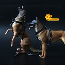 Pawfashion belgian malinois d'occasion  Expédié en Belgium