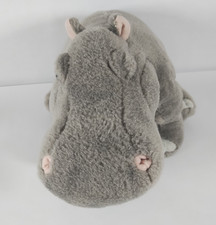 Hippo hippopotamus wild for sale  Madison