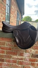 Premier equine bordeaux for sale  EBBW VALE
