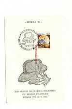 Budoia 1981 pleurotus usato  San Teodoro