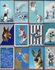 sheperd dog for sale sheperd dog for sale Chicago