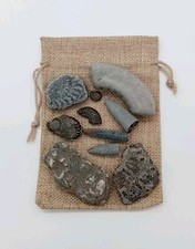 Bag fossil ammonites for sale  BRISTOL