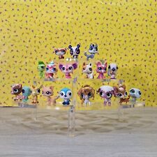 Lotto littlest pet usato  Italia