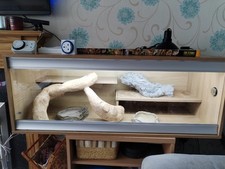 Vivexotic bearded dragon, used for sale  NOTTINGHAM