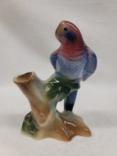 Parrot royal copley for sale  Hubertus