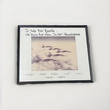 Vintage 1976 usaf for sale  Selma