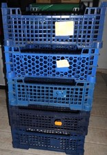 Gemüse kisten gemüsebox gebraucht kaufen  Haldensleben-Umland
