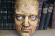 Cabinet curiosities phrenology for sale  Lenexa