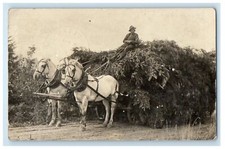 1912 giant brush for sale  Terre Haute