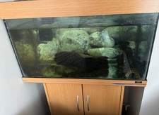 Juwel aquarium juwel for sale  WATFORD