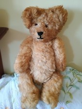 woolly bear for sale  KILGETTY