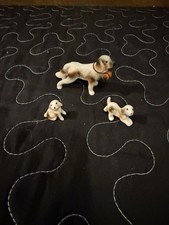 Miniature saint bernard for sale  Henderson