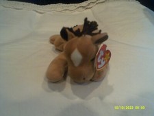 horse beanie baby for sale horse beanie baby for sale Southbury