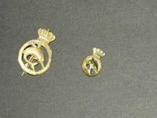 Due distintivi ufficiale usato Due distintivi ufficiale usato  Italia