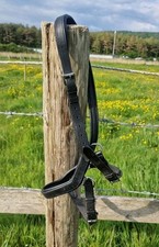 noseband sleeve for sale noseband sleeve for sale KIDWELLY