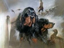 Gordon setter dog for sale  Shipping to Ireland