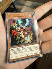 Droll lock bird gebraucht kaufen Droll lock bird gebraucht kaufen  Grimmen