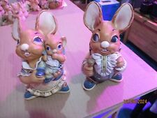 Pendelphin rabbits for sale  FARINGDON