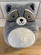 Squishmallow randy raccoon for sale  PEMBROKE