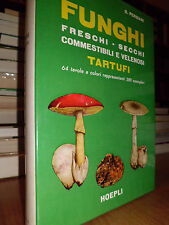 Funghi freschi secchi usato  San Giorgio di Piano