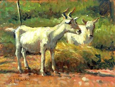 Dipinto olio tavoletta usato  Lucca