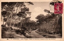 Old postcard arcachon d'occasion  Expédié en Belgium