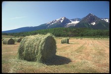 251090 chetwynd mountains for sale  UK