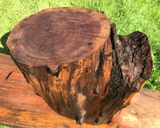 Black walnut blank for sale  Head Waters