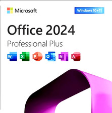 Microsoft office professional usato  Italia