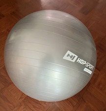 Sport gymnastikball inkl gebraucht kaufen  Oberschleißheim