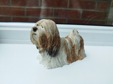 lhasa apso for sale  COTTINGHAM
