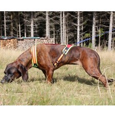 Niggeloh hundeführgeschirr fo gebraucht kaufen Niggeloh hundeführgeschirr fo gebraucht kaufen  Rottendorf