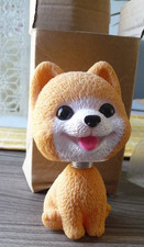 pomeranians for sale pomeranians for sale BICESTER