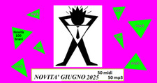 100 basi karaoke usato  Foggia