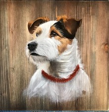 Jack russel dipinto usato  Cremona