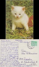 Ddr ansichtskarte süße gebraucht kaufen Ddr ansichtskarte süße gebraucht kaufen  Ortrand