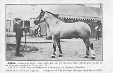Cpa bretagne hippique d'occasion  Claira