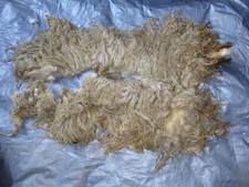Schur wolle weisse gebraucht kaufen  Naundorf, Mügeln