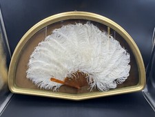 piume usato piume usato Ardea