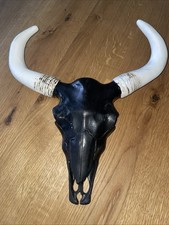 Tierschädel wand deko gebraucht kaufen  Karlsruhe