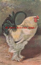Alfred schonian unknown for sale  USA