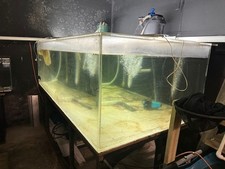 600 gallon acrylic for sale  Danbury