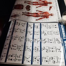 Muscular system dumbbell for sale  Red House
